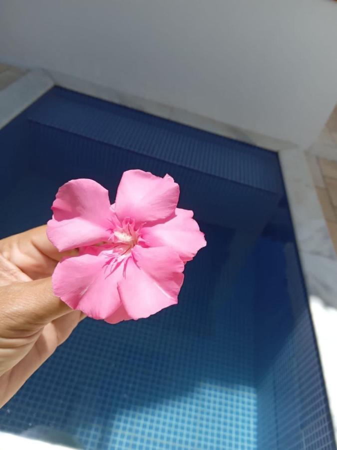 Tamandare Residence المظهر الخارجي الصورة